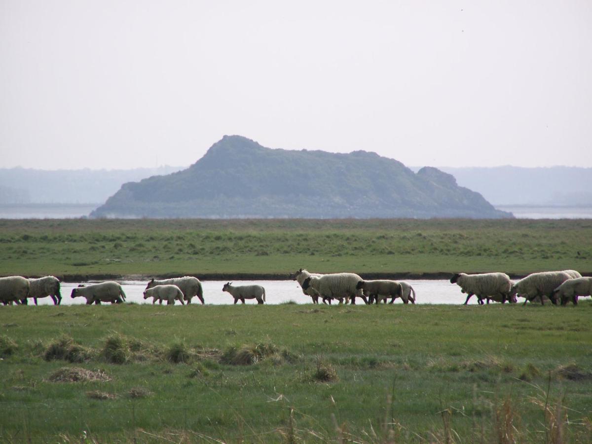Genêts Charmante Maison De Pecheur En Baie Du Mont Saint Michel מראה חיצוני תמונה